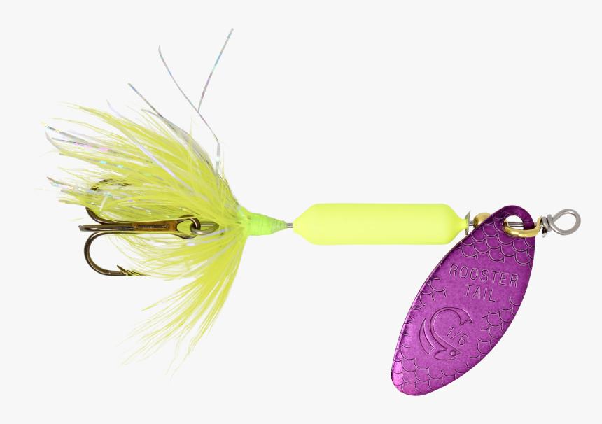 Fish, HD Png Download