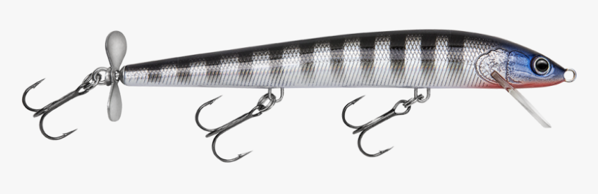 Sardine, HD Png Download