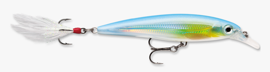 Rapala X-rap 10 Fishing Lure - Rapala, HD Png Download