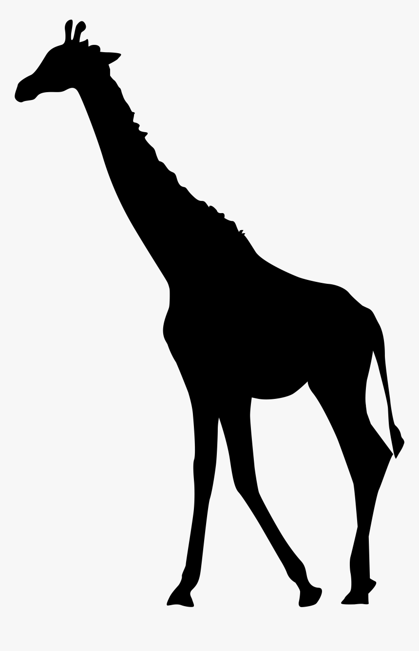 Transparent Clip Art Image - Giraffe Silhouette Png, Png Download