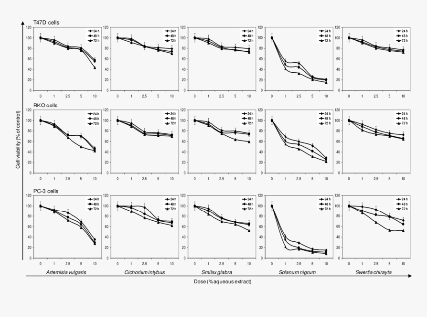 Pineapple Template, HD Png Download