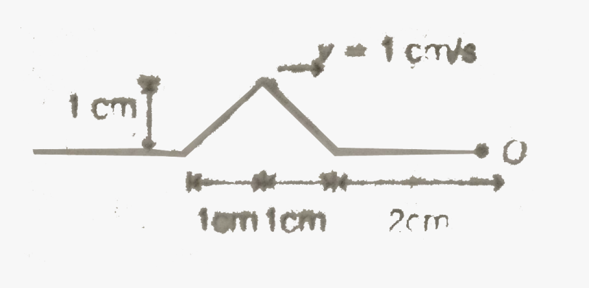Tree, HD Png Download