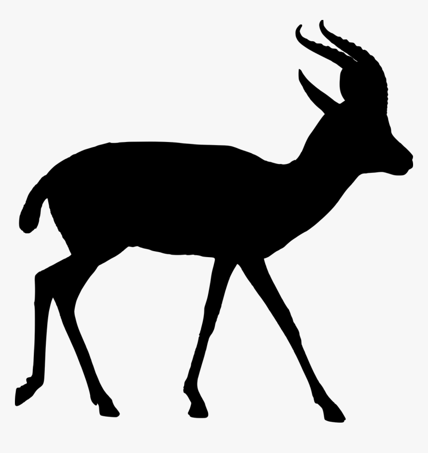 If You Enjoy My Content, Please Consider Supporting - African Animals Silhouette Transparent, HD Png Download