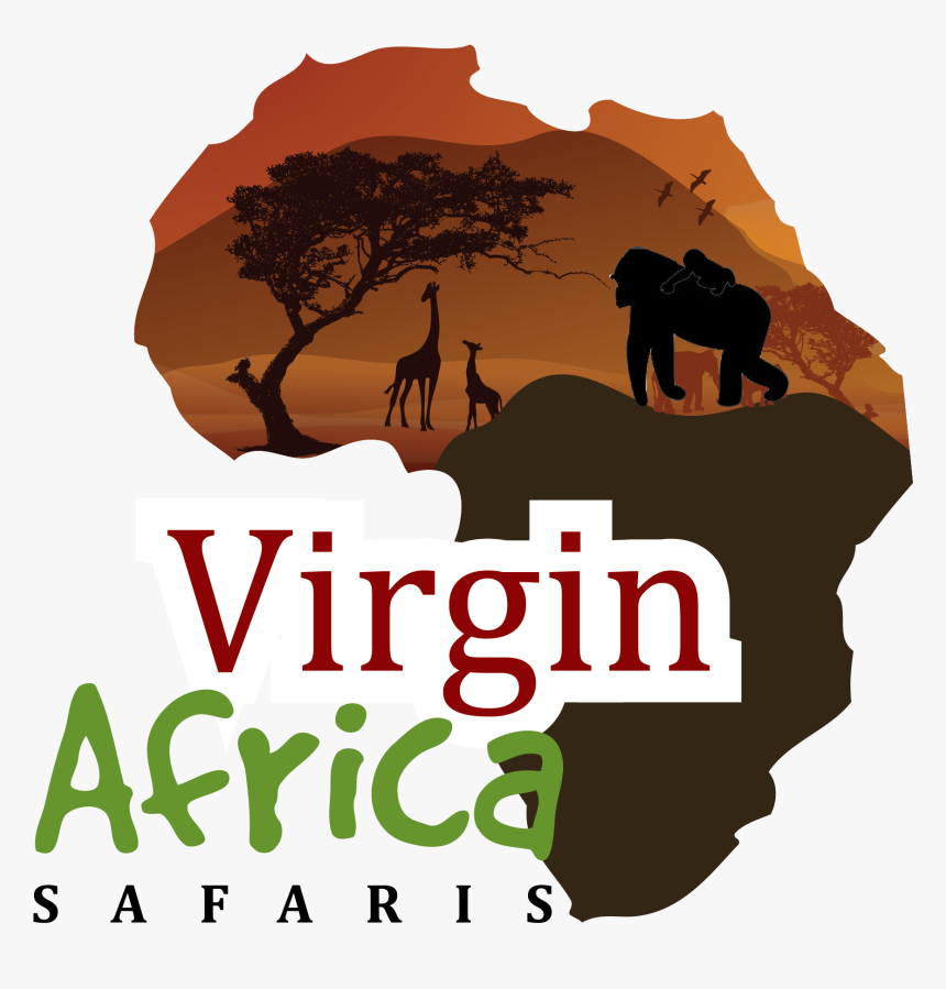 Virgin Africa Safaris - Tree, HD Png Download