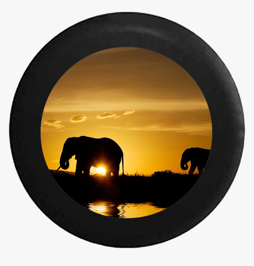 Elephant Hd Yellow Background, HD Png Download