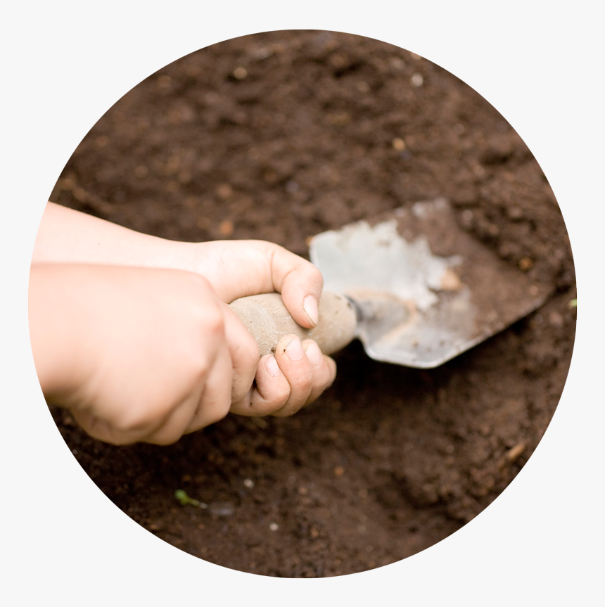 Soil Texture Png - Learning, Transparent Png