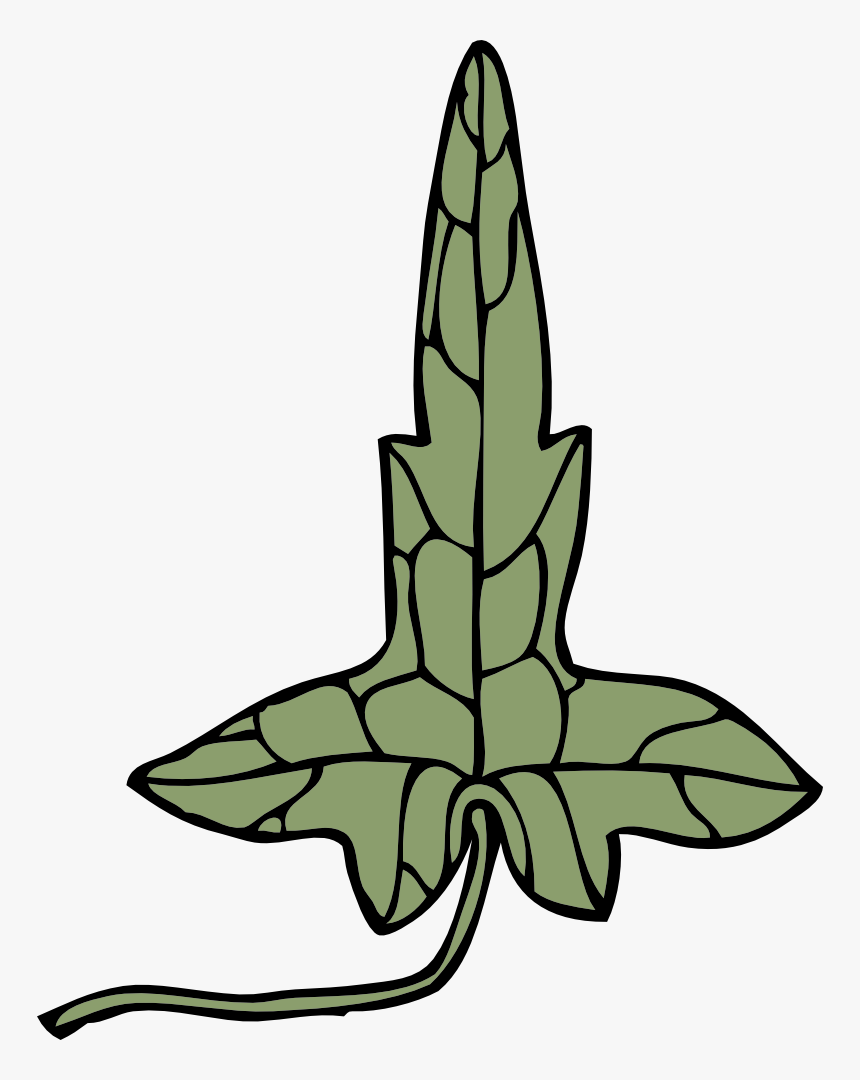Ivy Leaf - Clip Art, HD Png Download
