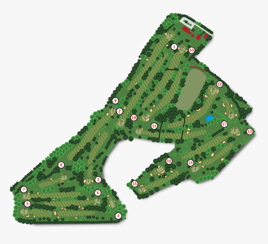 Tree, HD Png Download