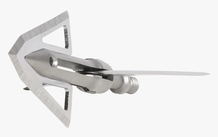 Bloodsport, HD Png Download