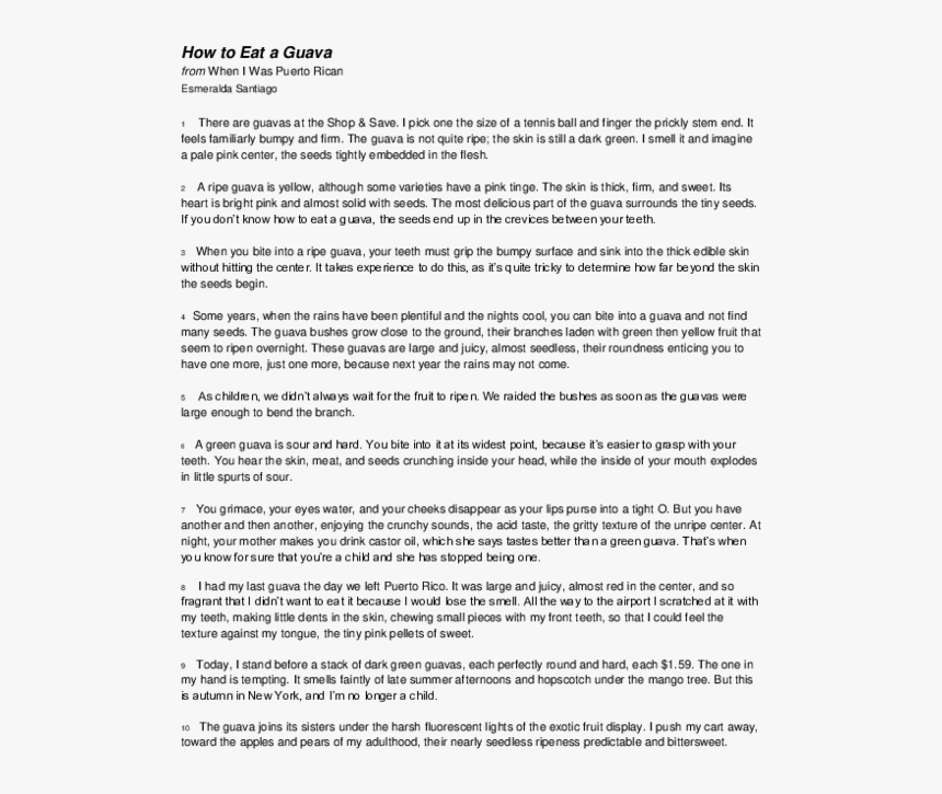 Document, HD Png Download