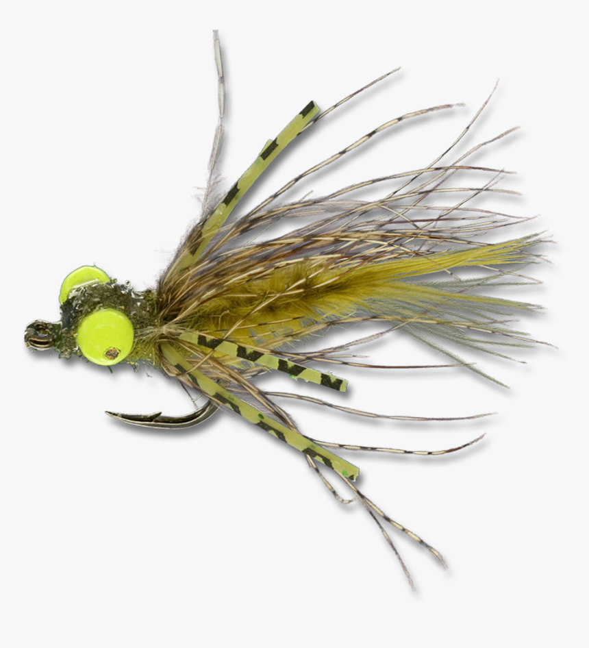 Grave Digger - Olive - Insect, HD Png Download