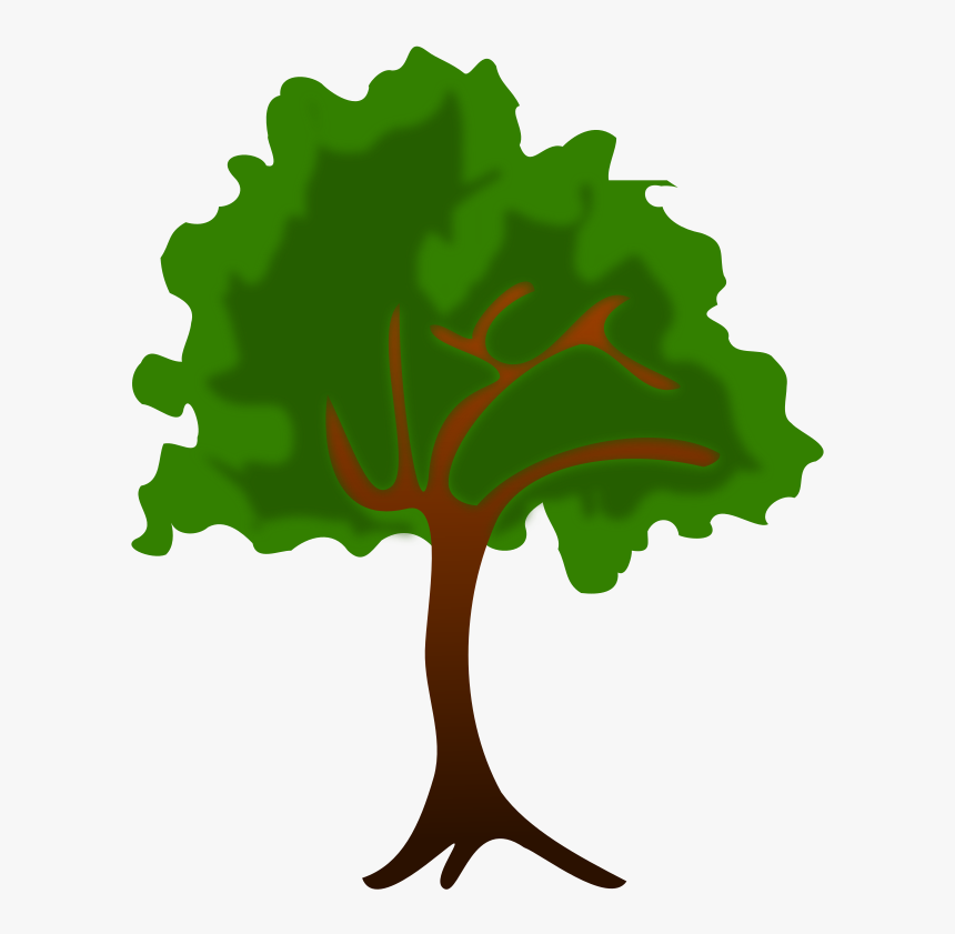 Plant,grass,leaf - Water Quality Tree Map, HD Png Download