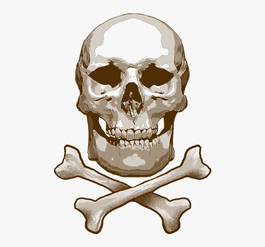 Skull And Cross Bones, Skull, Toxic, Bones, Skeleton - Skull, HD Png Download