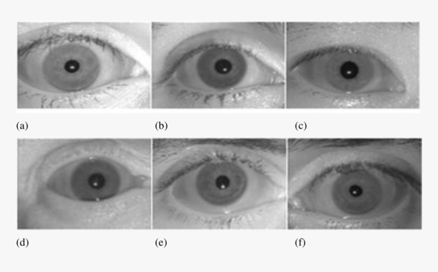 Close-up, HD Png Download