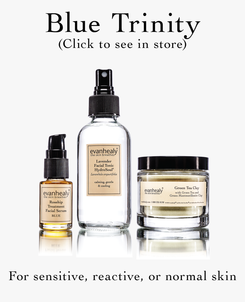 Evan Healy, HD Png Download