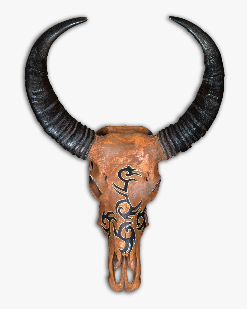 Bull, HD Png Download