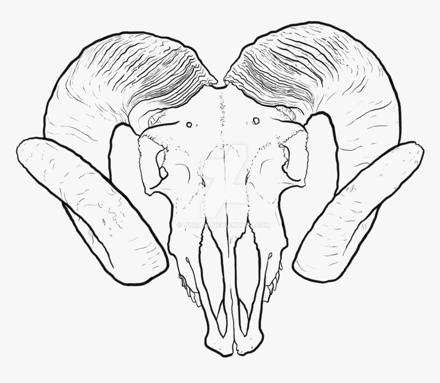 Clip Art Collection Of Free Valley - Ram Skull Transparent Drawing, HD Png Download