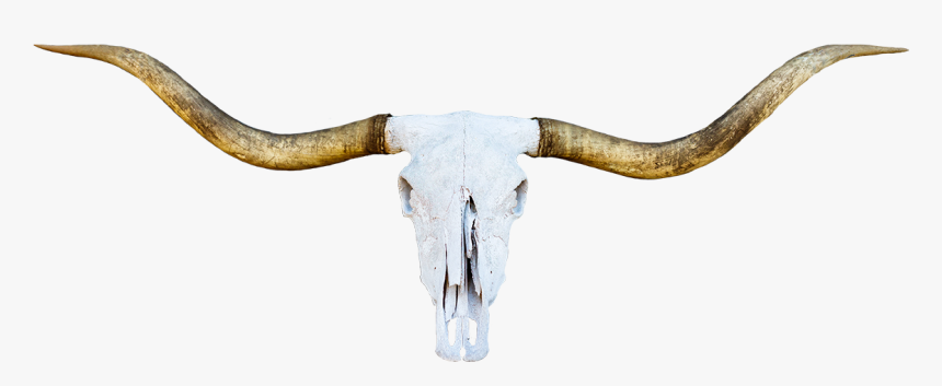 Horn, HD Png Download
