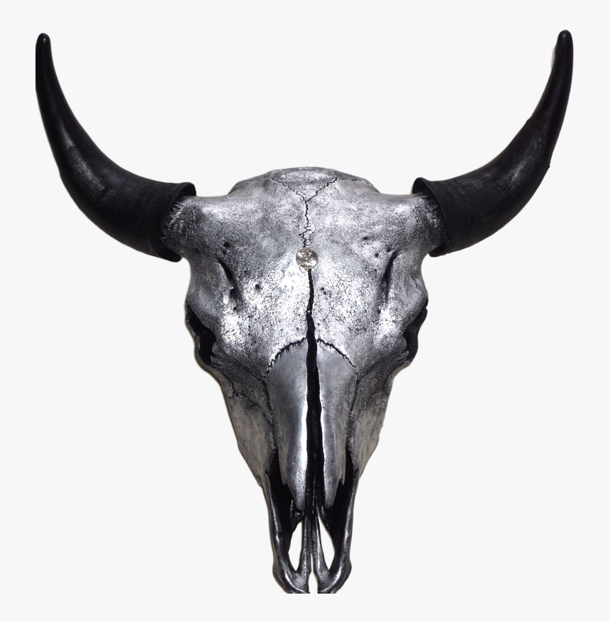 Silver Bison Skull - Horn, HD Png Download