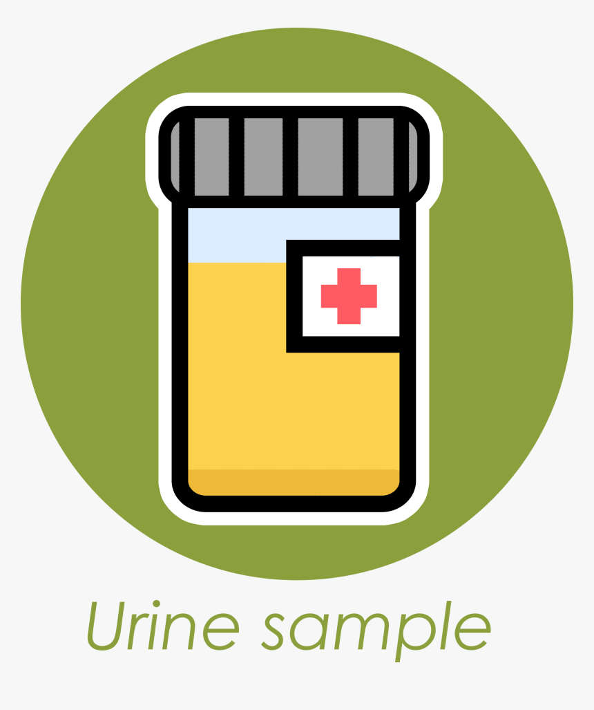 Urine Sample Clip Art, HD Png Download