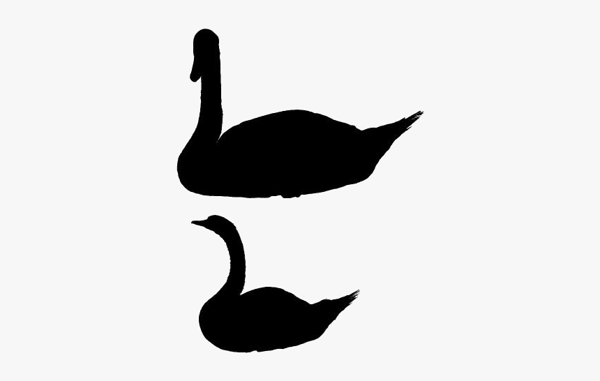 Transparent Swan Silhouette Png - Duck, Png Download