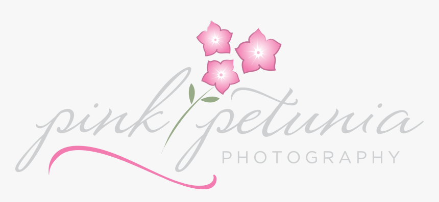 Rosa Glauca, HD Png Download