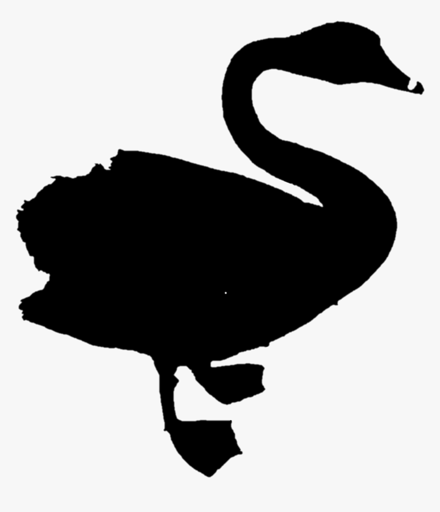 Duck Goose Clip Art Fauna Silhouette - Black Swan, HD Png Download