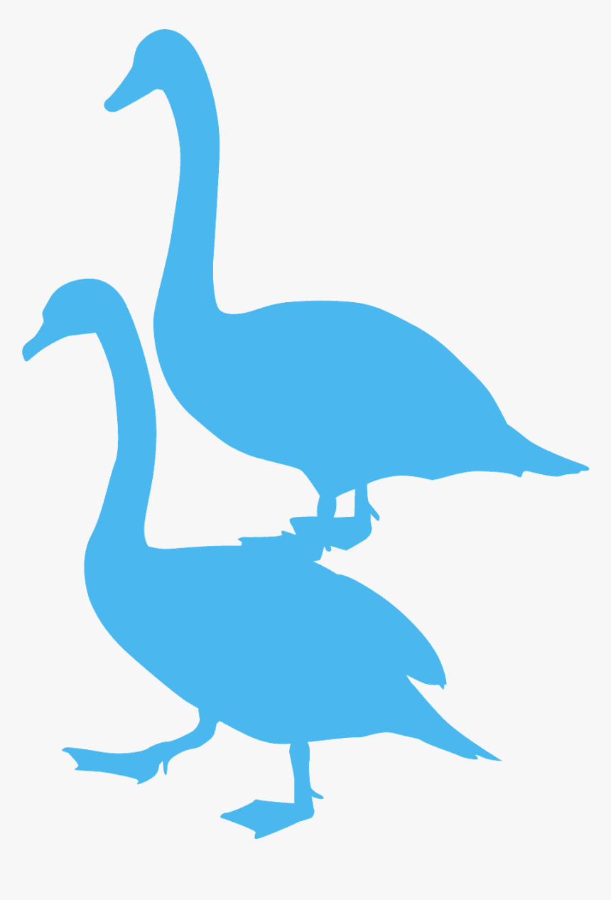 Mute Swan Silhouette, HD Png Download