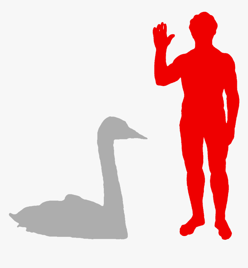 Biggest Owl Compared To Human, HD Png Download