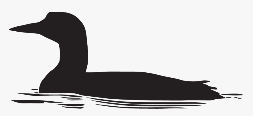 Clip Art Loon Silhouette - Transparent Loon Silhouette, HD Png Download