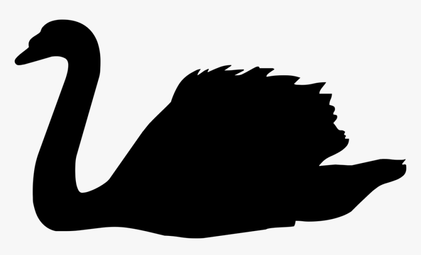 Silhouette, Birds, Ocean, Wings, Water, Dawn Illustration, HD Png