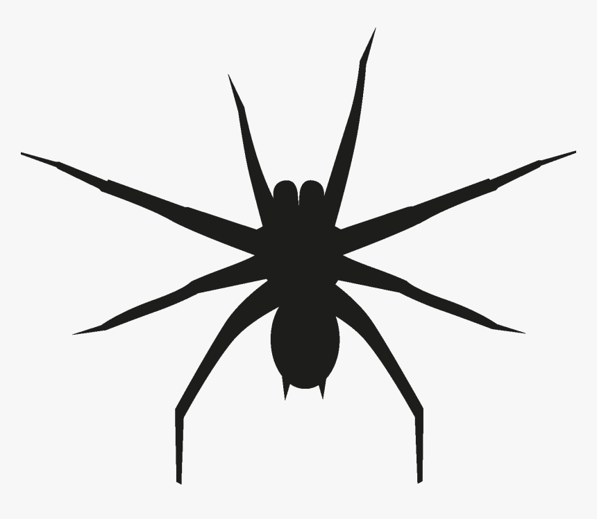Insects Set [silhouette] Png - Wolf Spider, Transparent Png