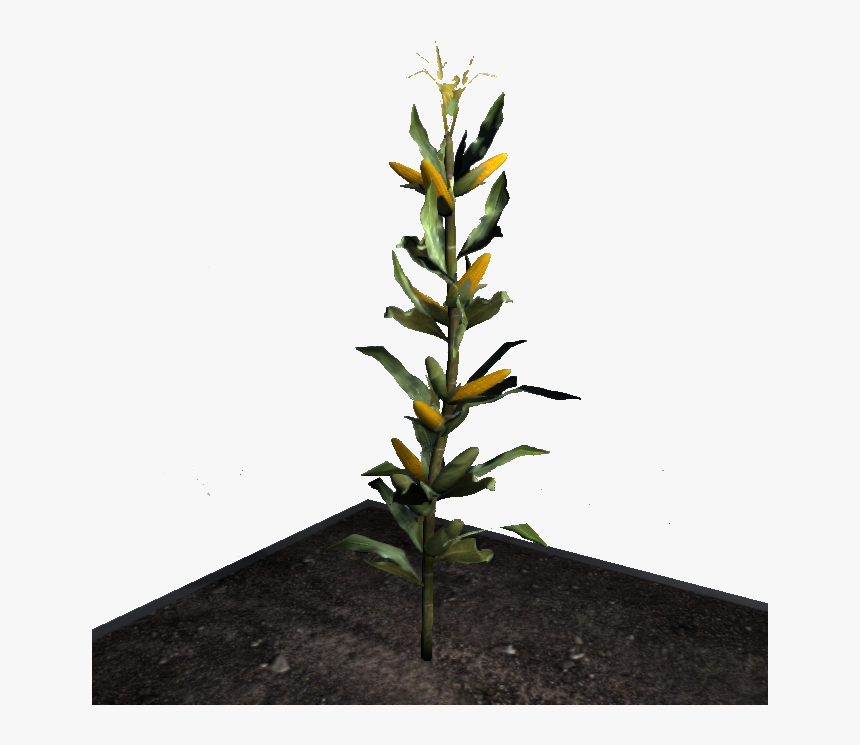 Corn - Empyrion Corn, HD Png Download