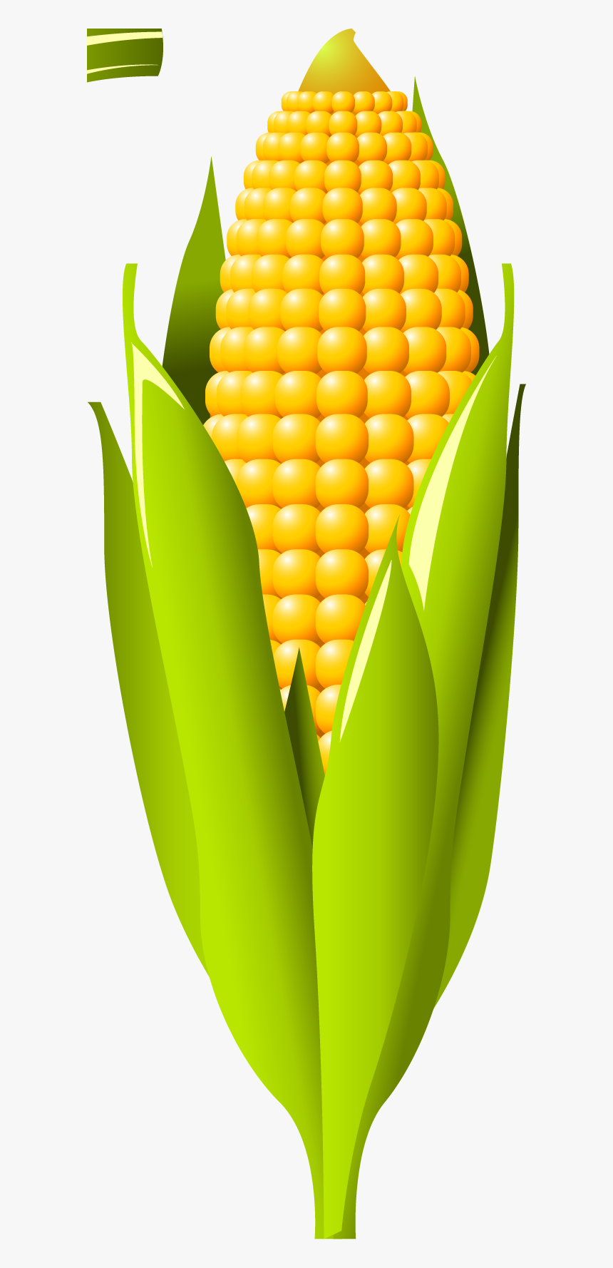 Milho Vetor Png, Transparent Png