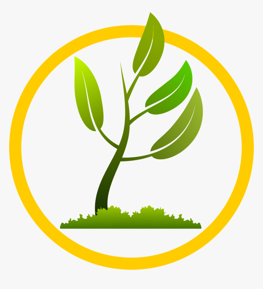 Picture Library Download Stalk Clipart Corn Stock - New Plant Growing Png, Transparent Png