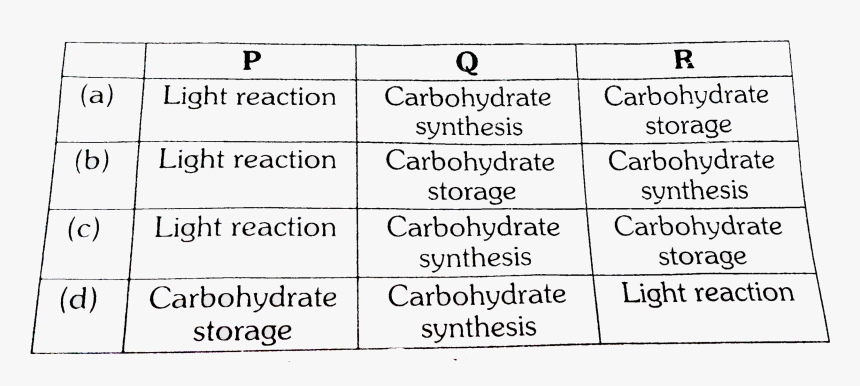Number, HD Png Download