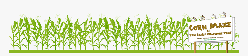 Grass, HD Png Download