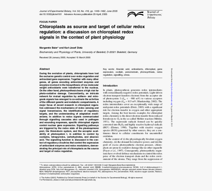 Untitled, Tailpiece, Pg. 27, In The Book Dingo By Octave, HD Png Download