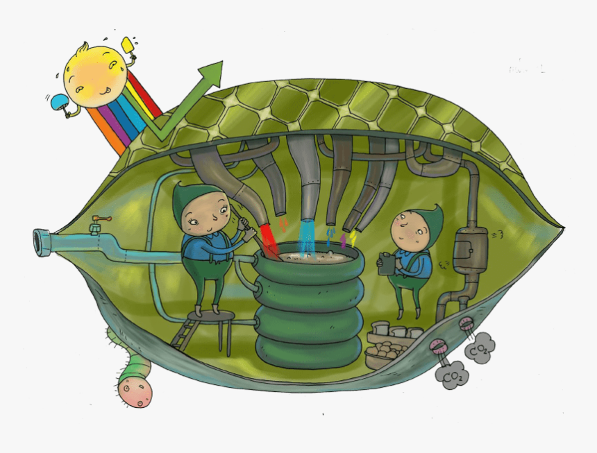 Cartoon, HD Png Download