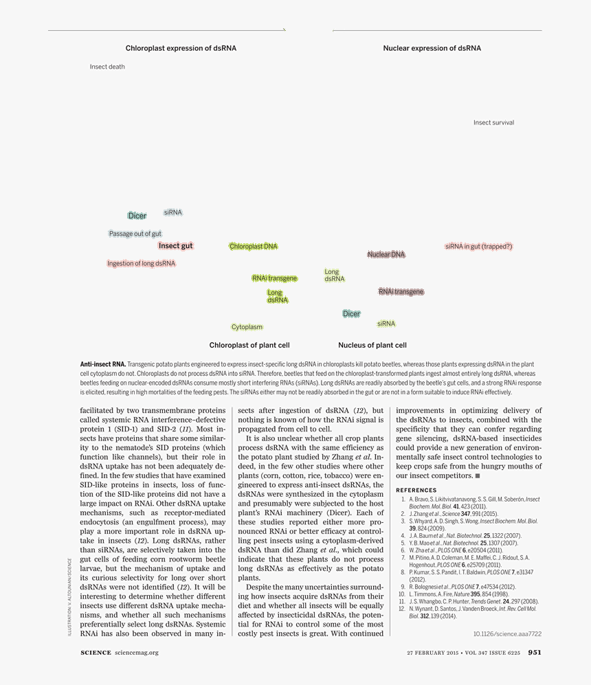 Document, HD Png Download