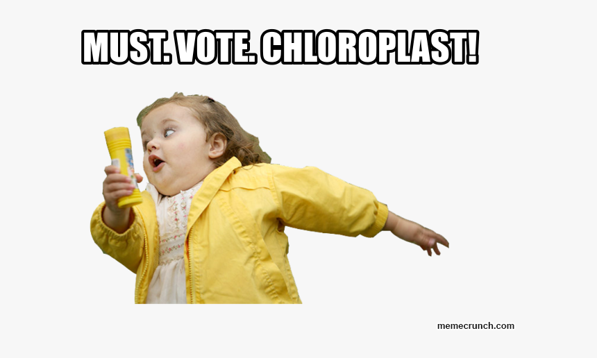 Emma Memes, HD Png Download