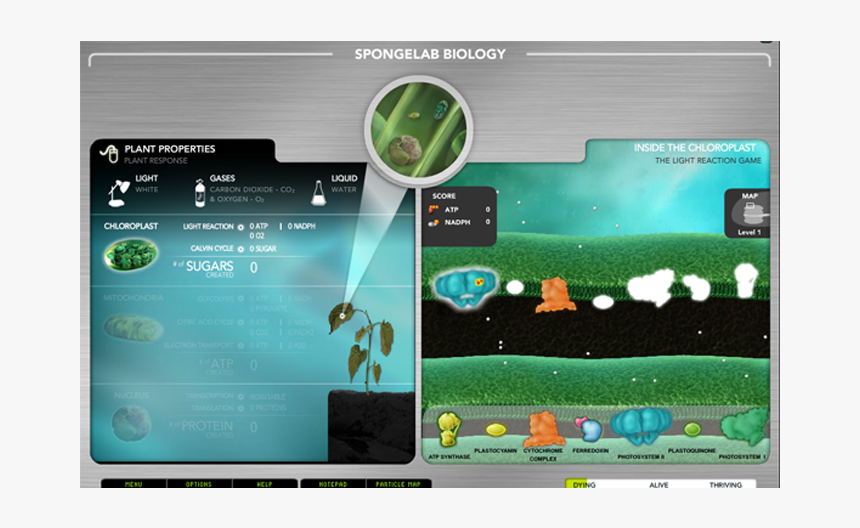 Genomics - Picture - Genomics Digital Lab, HD Png Download