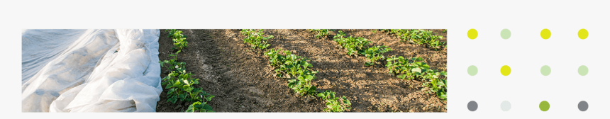 Top Image - Field, HD Png Download