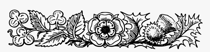 Decorative Divider 73 Clip Arts - Flower Divider Brush, HD Png Download