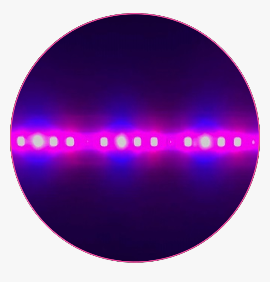 Circle, HD Png Download