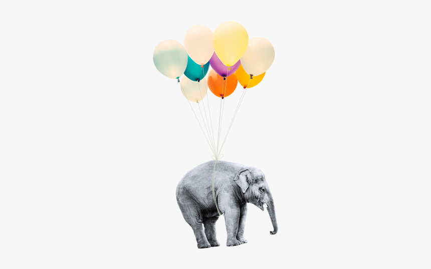 Elephant Flying On Balloons, HD Png Download