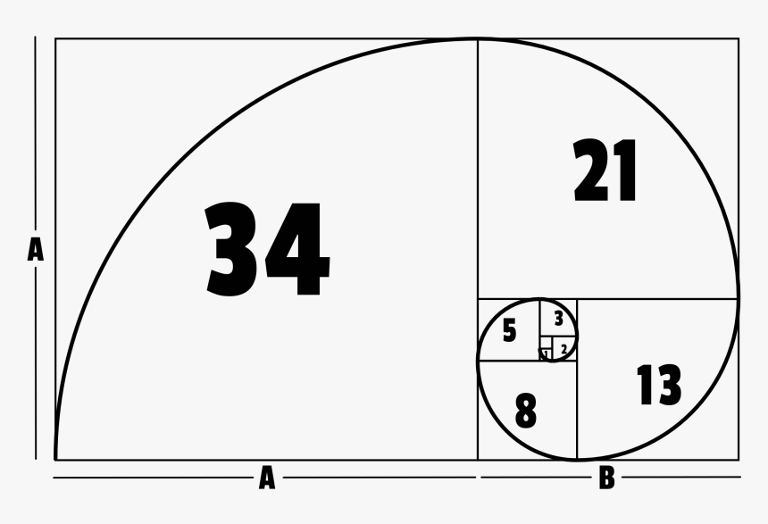 Golden Ratio Guide Png, Transparent Png