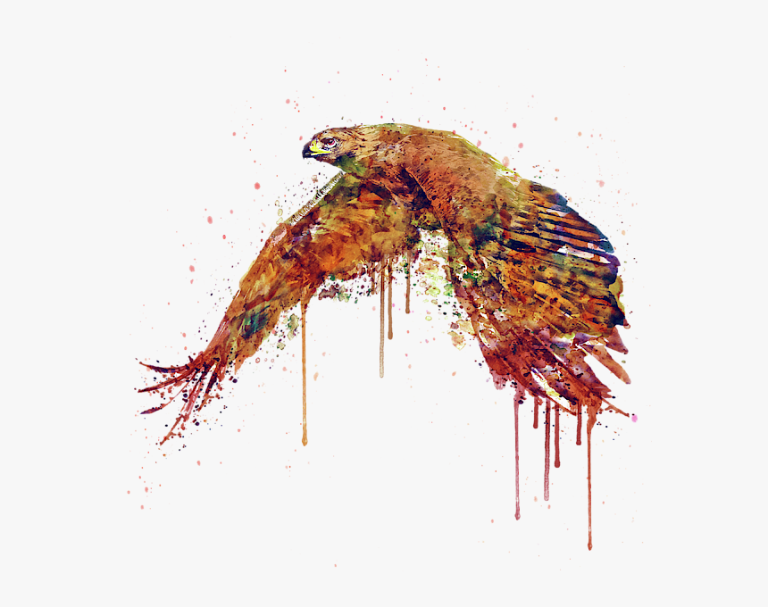 Hawk Painting, HD Png Download