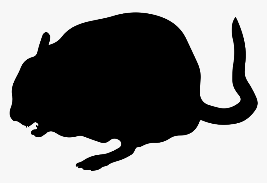 Chinchilla Animal Shape - Chinchilla, HD Png Download