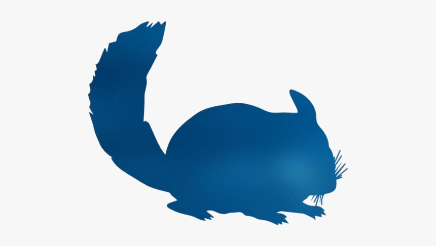 Transparent Chinchilla Mammal Png - Mother Of Chinchillas Tshirt, Png Download